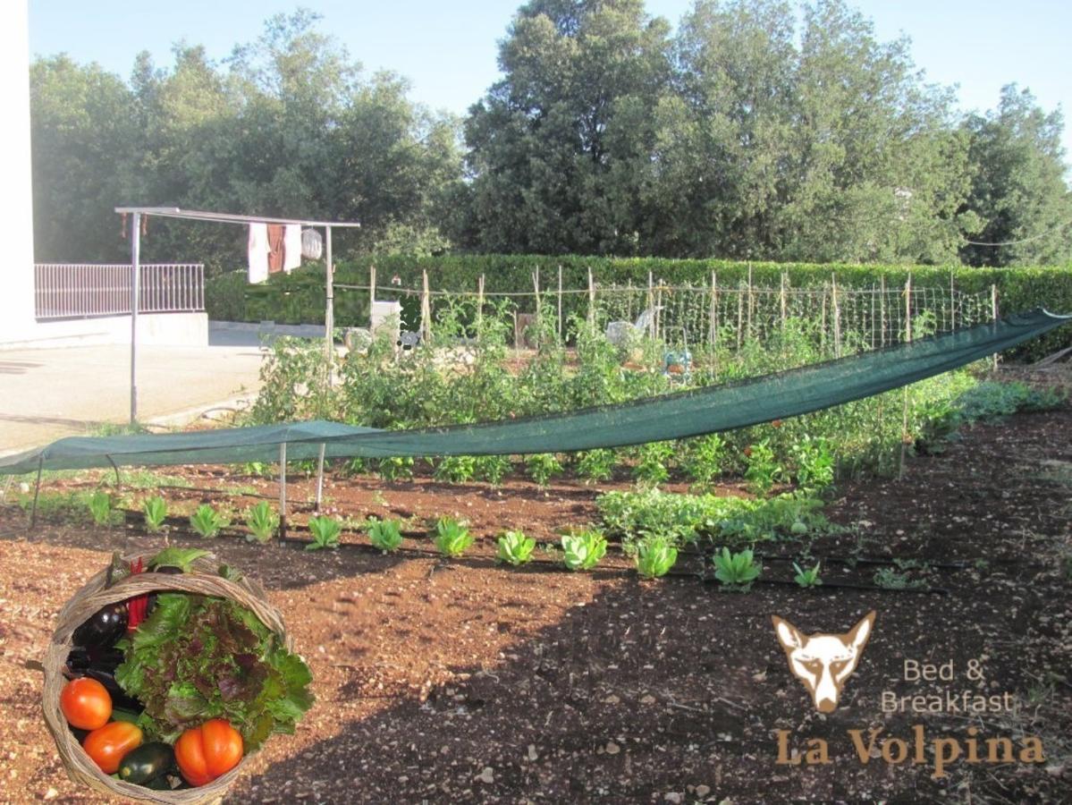 La Volpina Acomodação com café da manhã Martina Franca Exterior foto